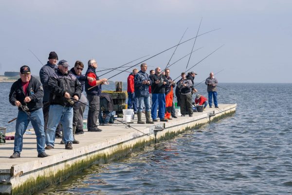 Sildefestival_2019-2 Sildefestival_2019-2